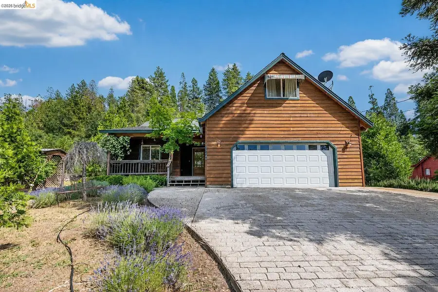 22401 Ridge Road, Twain Harte, CA 95383 - #3