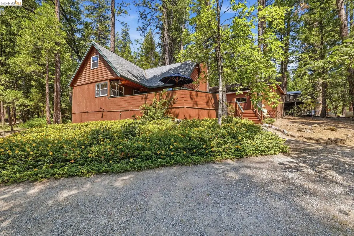 22510 Fireside Dr, Twain Harte, CA 95383 - #1