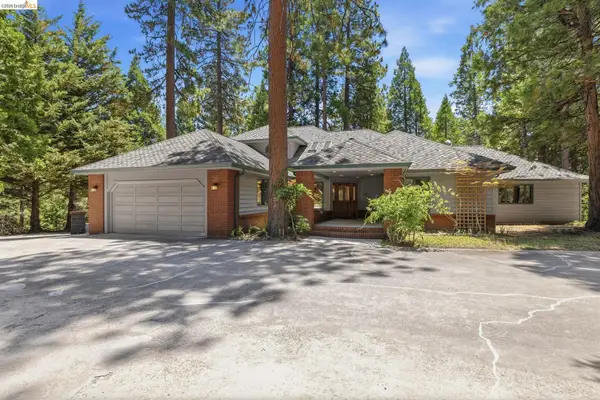 19903 Forest Vista Drive, Twain Harte, CA 95383