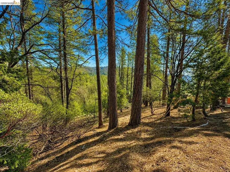 23804 S Oxbow Lane, Sonora, CA 95370 - #2