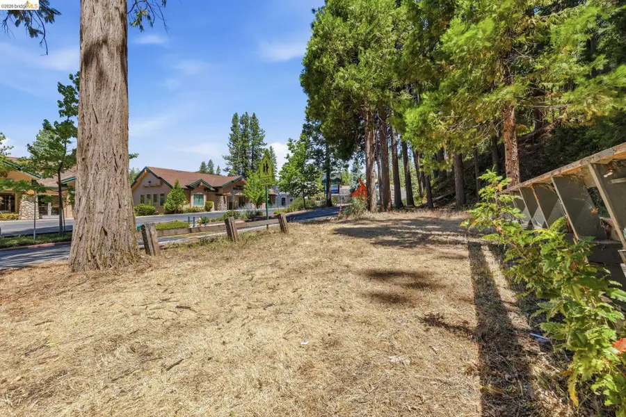 22905 Twain Harte Dr, Twain Harte, CA 95383 - #2