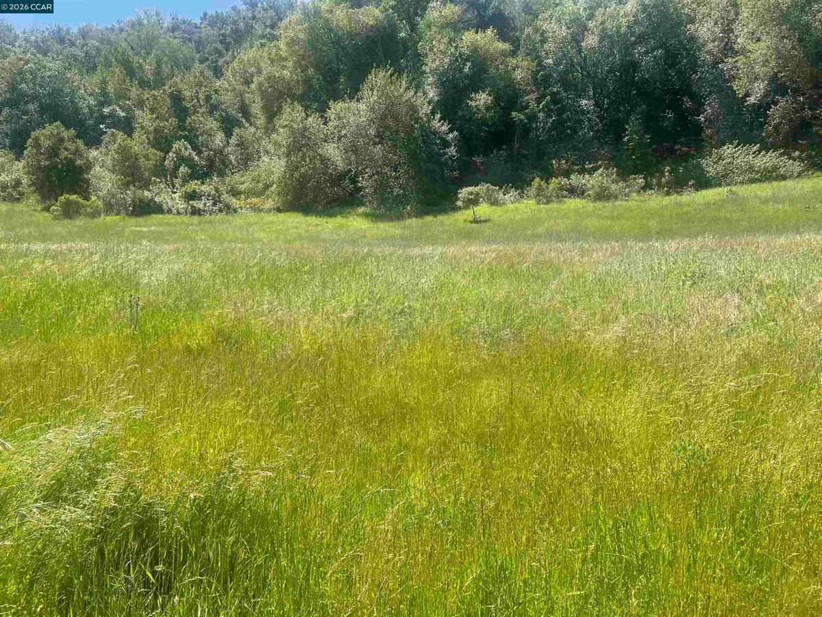 1180 Bear Creek Rd, Martinez, CA 94553 - #1