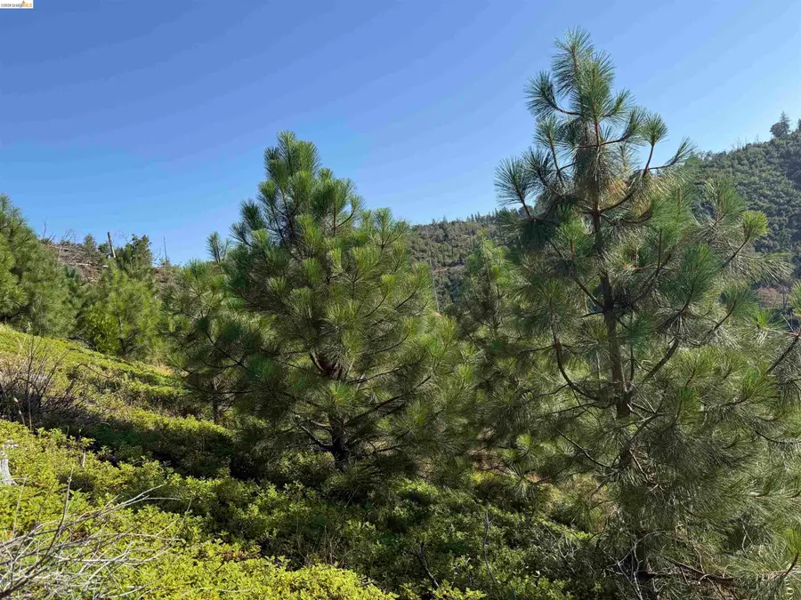 00000 Old Greek Mine, Mokelumne Hill, CA 95245 - #3