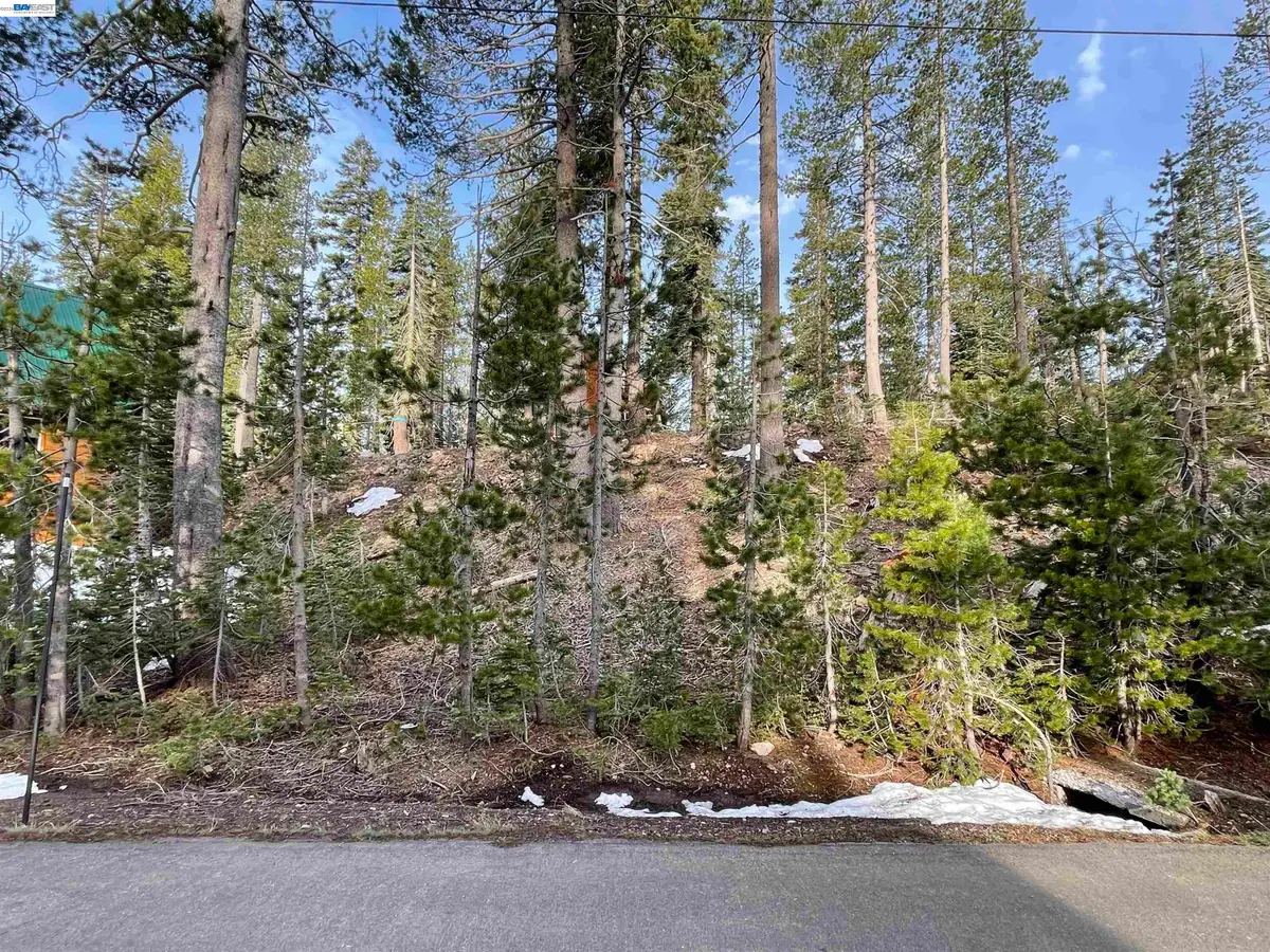 7217 Palisade Road, Soda Springs, CA 95728 - #1