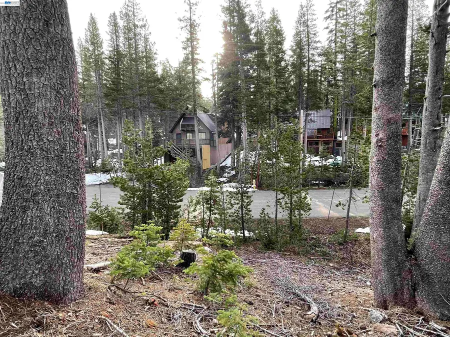 7217 Palisade Road, Soda Springs, CA 95728 - #3