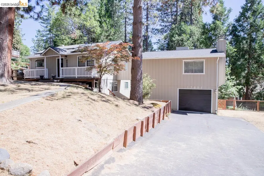 17801 Lark, Twain Harte, CA 95383 - #2