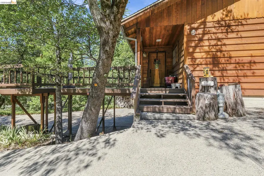 18770 Broadhurst Dr, Twain Harte, CA 95383 - #3