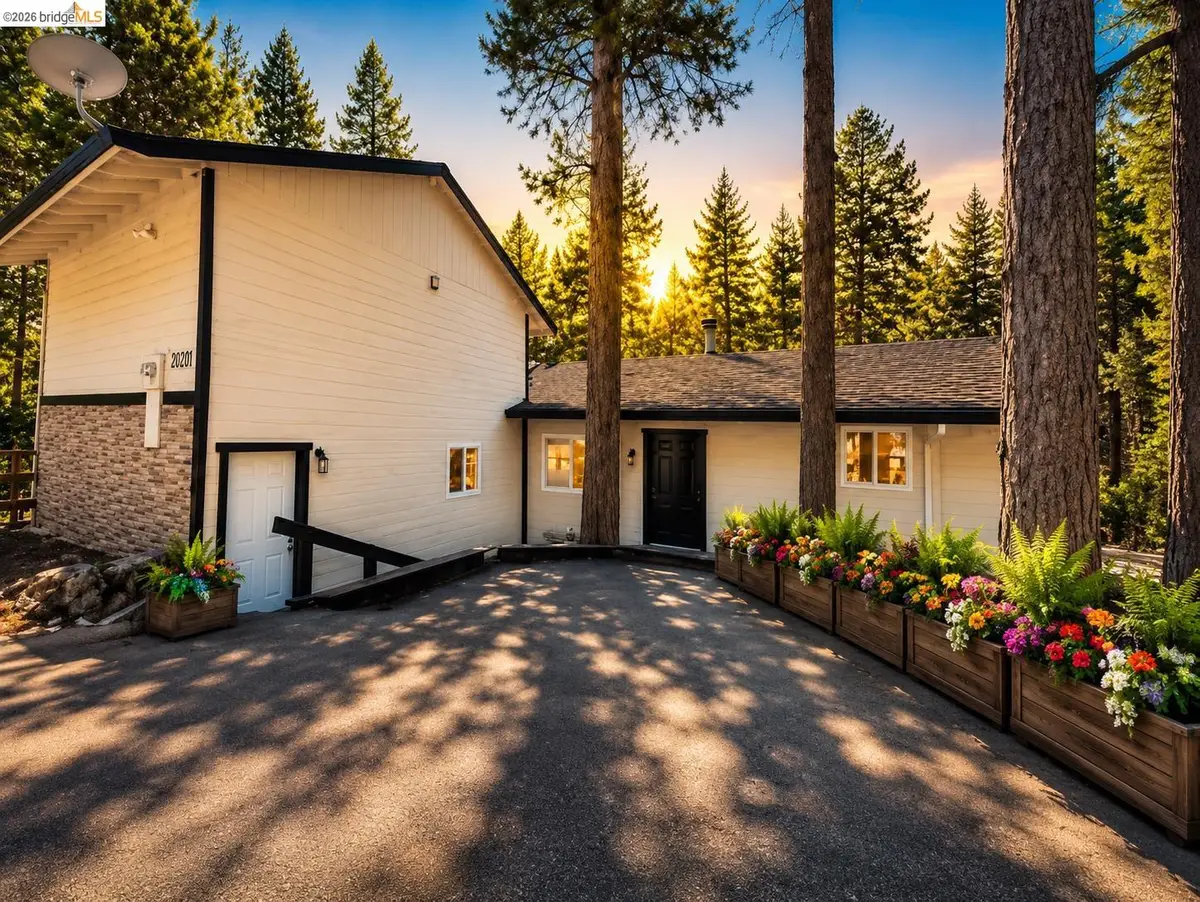 22921 Hawk, Twain Harte, CA 95383 - #1