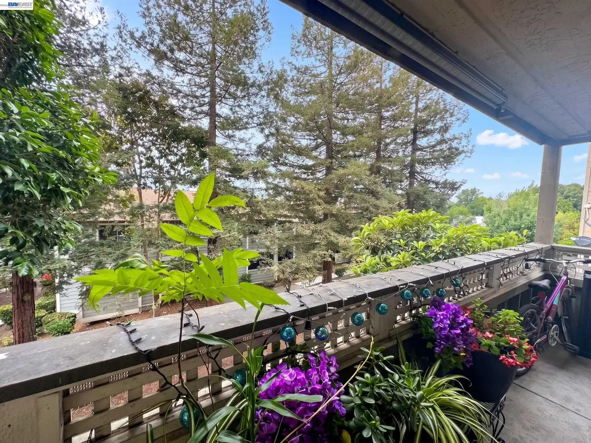 29599 Vanderbilt St #204, Hayward, CA 94544 - #1