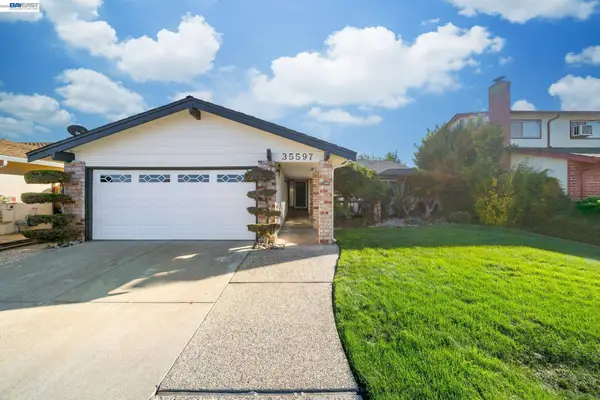 35597 Galen Pl, Fremont, CA 94536