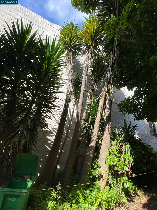 3529 Mission St, San Francisco, CA 94110