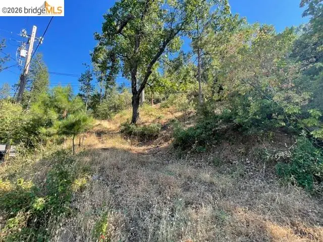 20281 Canyonview, Tuolumne, CA 95379 - #2