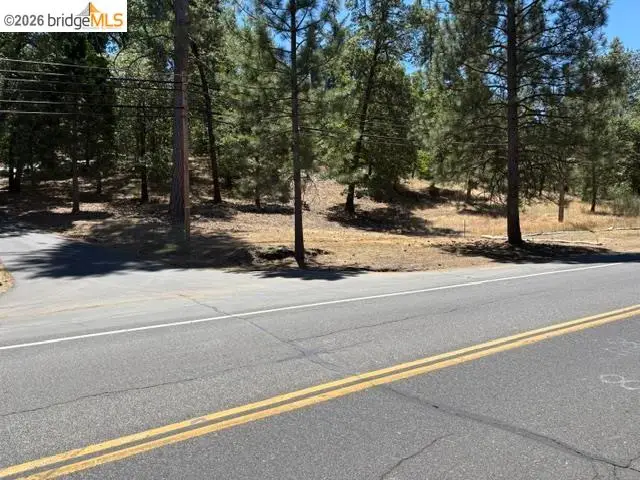 18985 Ferretti Rd, Groveland, CA 95321 - #2