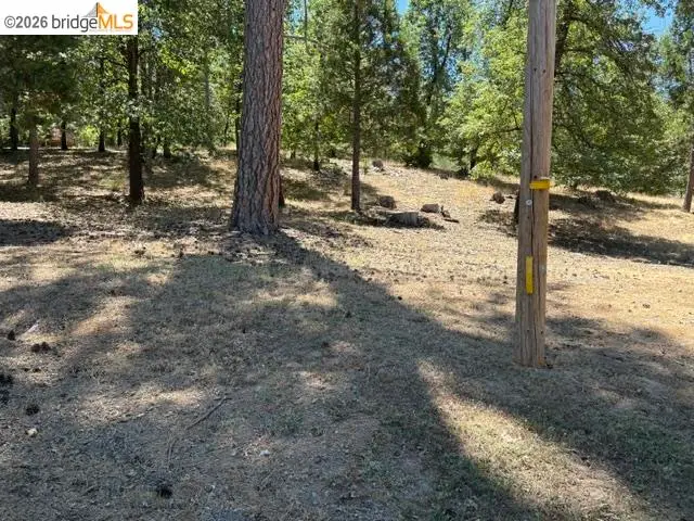 18985 Ferretti Rd, Groveland, CA 95321 - #3