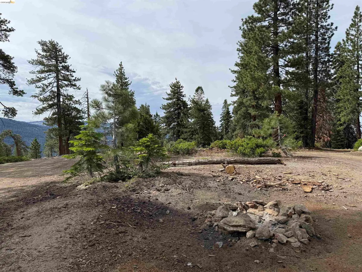 00000 Courtright, Shaver Lake, CA 93664 - #1