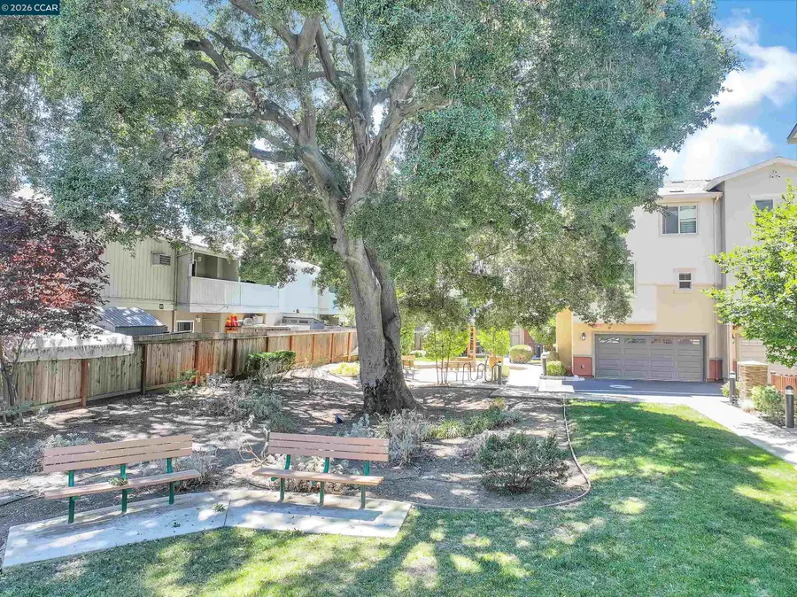 1260 Detroit Ave #4, Concord, CA 94520 - #3