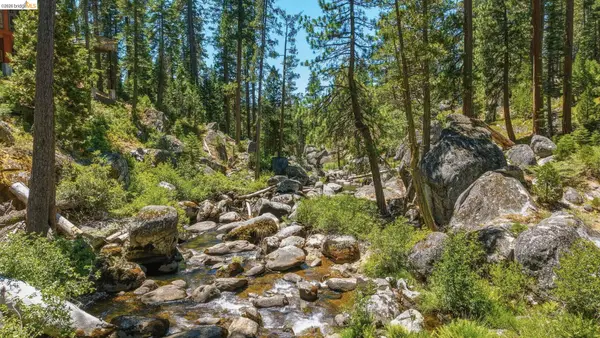 31500 Old Strawberry Rd, Pinecrest, CA 95364