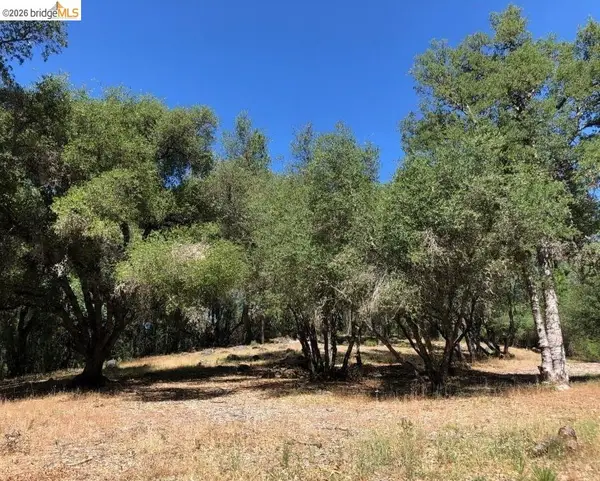 21930 Lyons Bald Mountain, Sonora, CA 95370