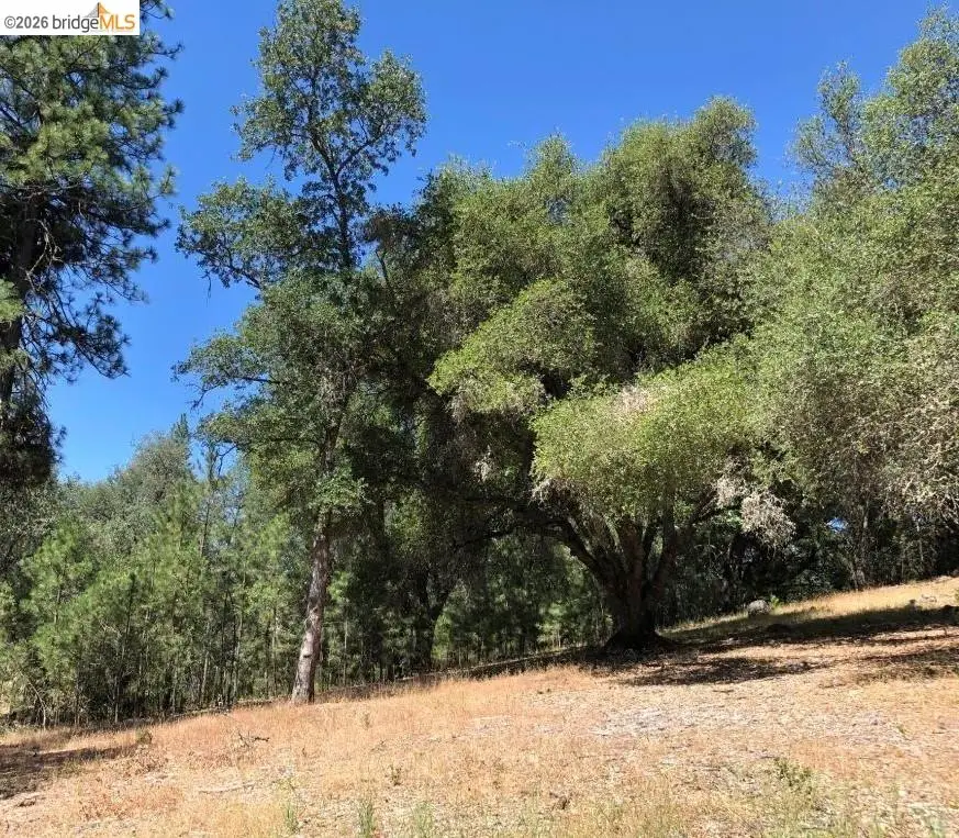 21930 Lyons Bald Mountain, Sonora, CA 95370 - #2