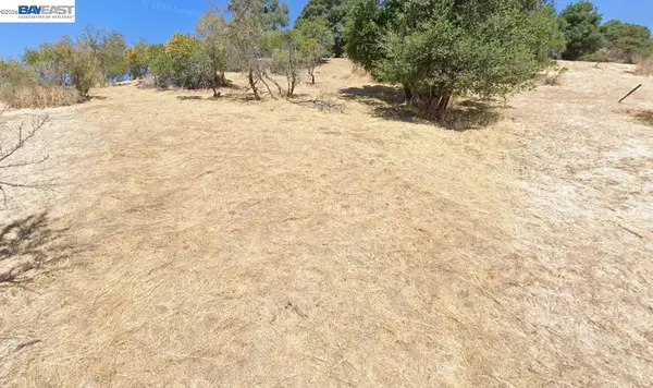 Warren St, Martinez, CA 94553