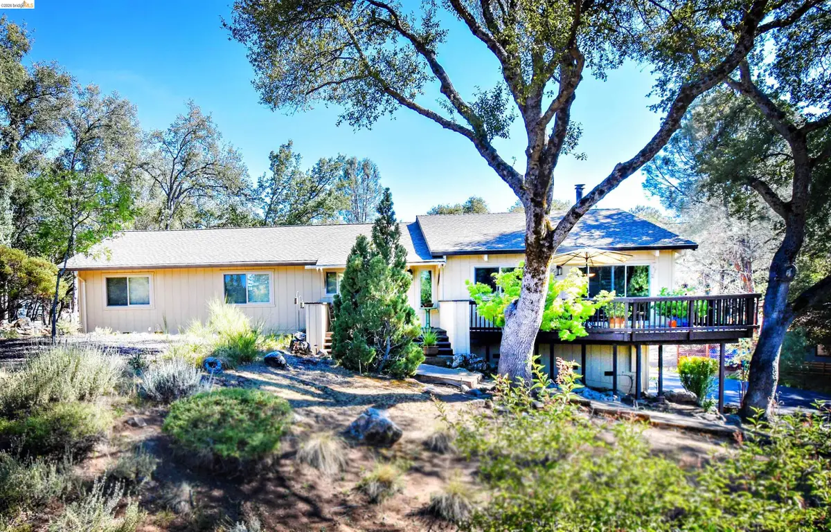 23101 Gold Springs Dr, Columbia, CA 95310 - #1