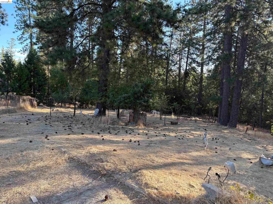 10162 Holtzel Road, Coulterville, CA 95311 - #2