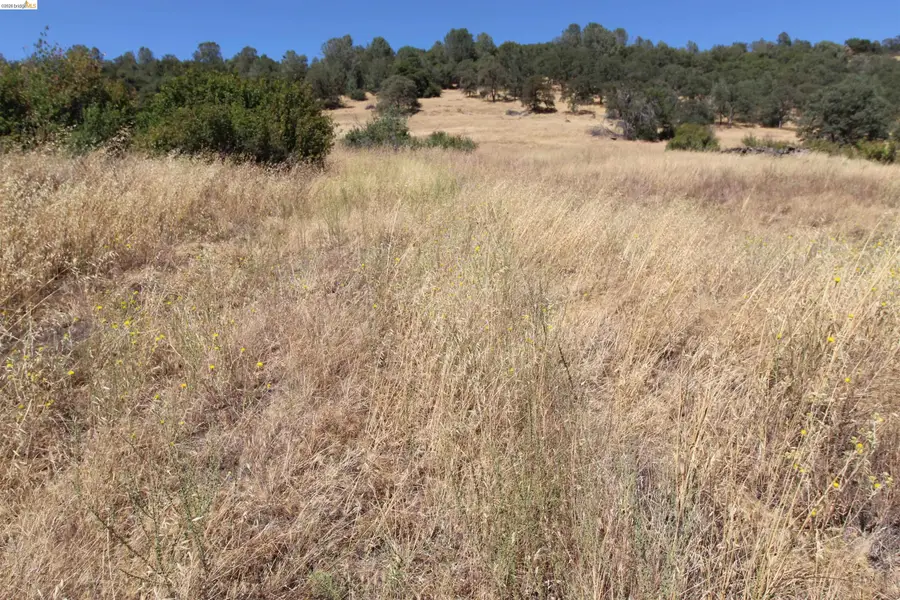 781 Gelding, Angels Camp, CA 95222 - #3