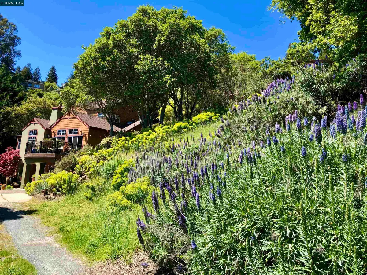 7033 Buckingham Blvd, Berkeley, CA 94705 - #1