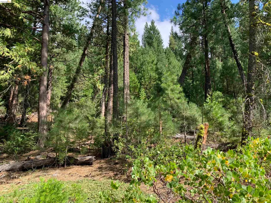 00000 Hillcrest, Alturas, CA 96101 - #2