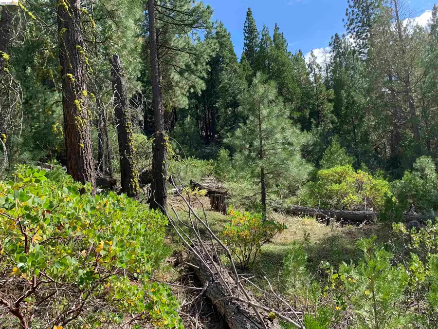 00000 Hillcrest, Alturas, CA 96101 - #3
