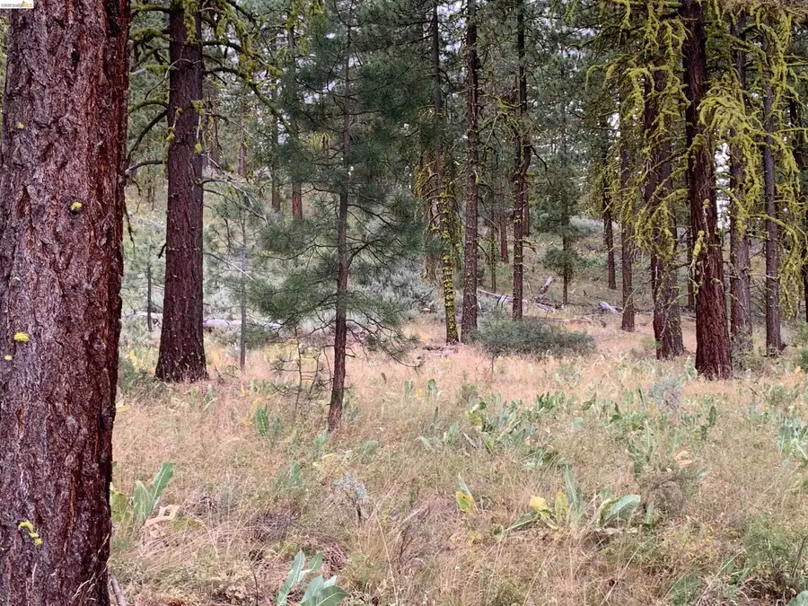 00000 West Wing, Susanville, CA 96127 - #3