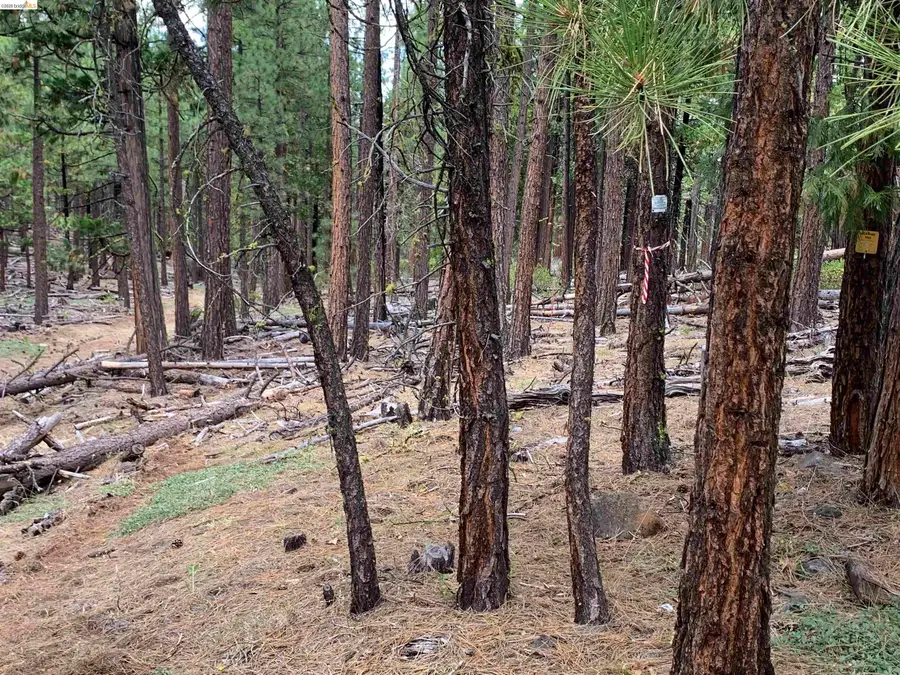 00000 Mcclelland, Bieber, CA 96009 - #3