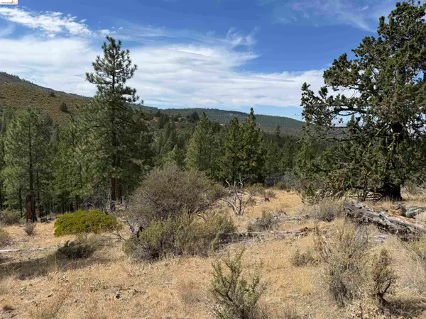 00000 North Twin, Bieber, CA 96009