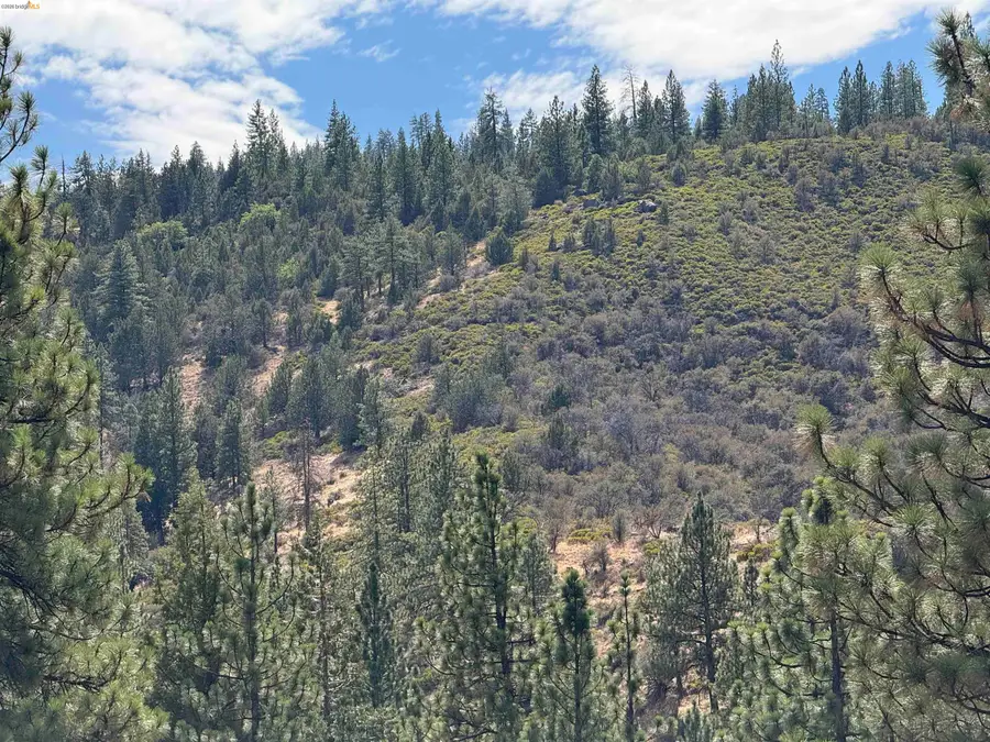 00000 North Twin, Bieber, CA 96009 - #2
