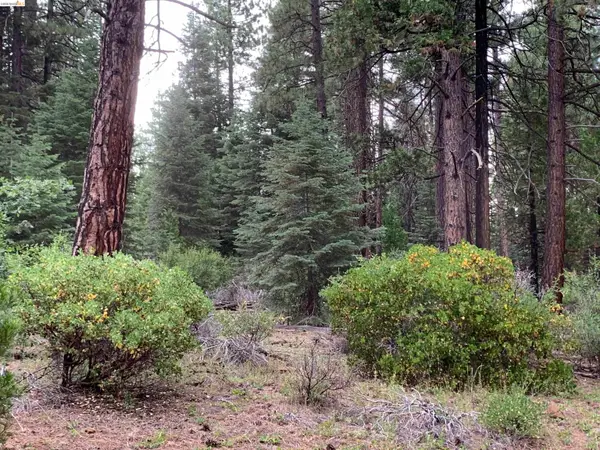 00000 Old Toll Rd, Nubieber, CA 96068