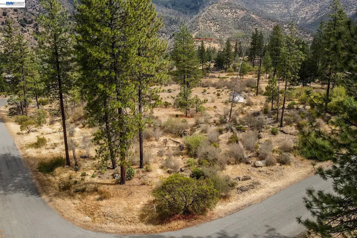 2130 Wintu Pass Rd., Junction City, CA 96048 - #1