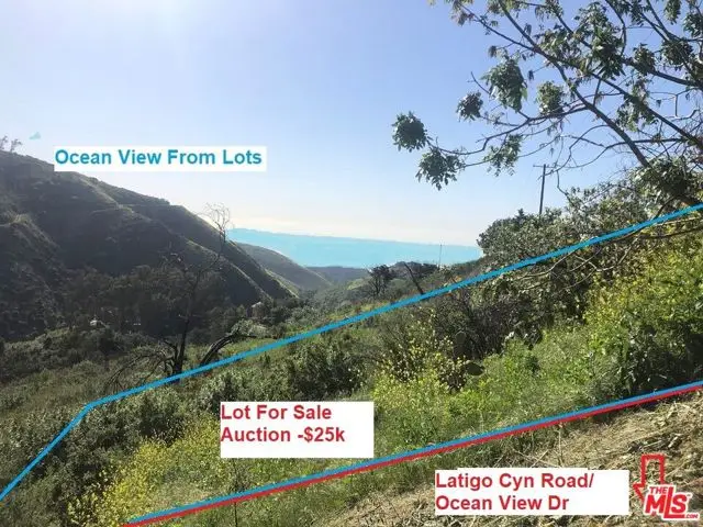 4218 Latigo, Malibu, CA 90265 - #3