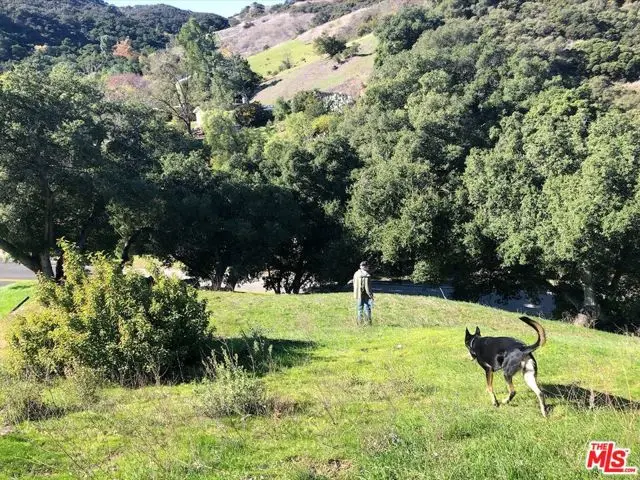 3330 Old Topanga Canyon Road, Topanga, CA 90290 - Image #3