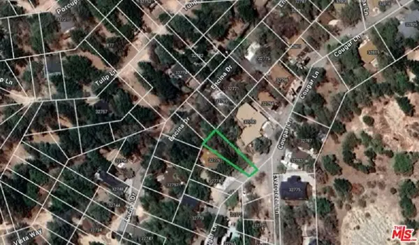 32780 Cougar Lane, Running Springs, CA 92382