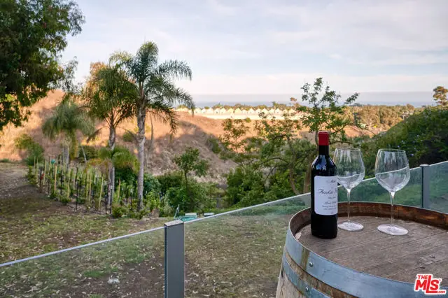 28907 Wight Road, Malibu, CA 90265 - #1