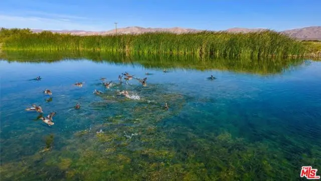 12055 Munsey Road, Cantil, CA 93519 - Image #3