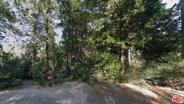 0 Ponderosa Drive, Cedar Glen, CA 92321 - Image #3
