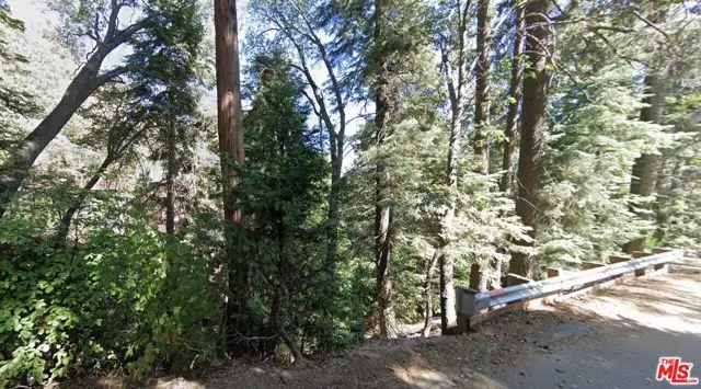 0 Community Drive, Lake Arrowhead, CA 92352 - #2