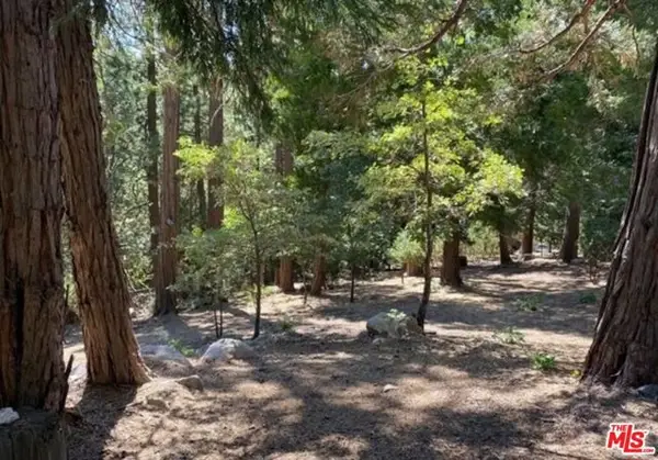 0 Grass Valley, Lake Arrowhead, CA 2352