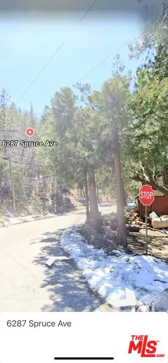 6287 Spruce Avenue, Angelus Oaks, CA 92305 - Image #3