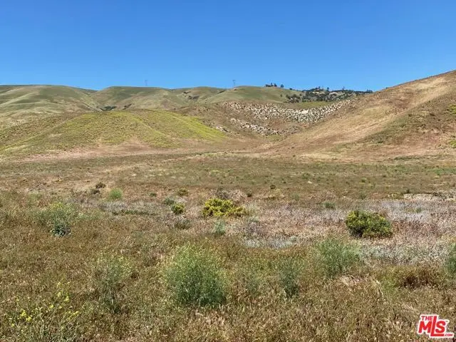 47330 Zenobia Drive, Lebec, CA 93243 - Image #3