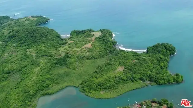 1 The Isla Panama, Other - See Remarks, FL 0 - #1