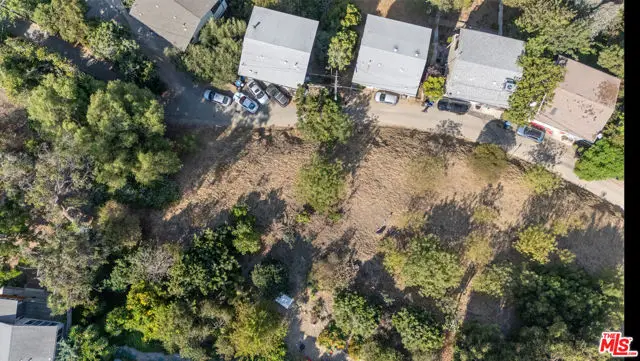 2512 Hines Drive, Los Angeles, CA 90065 - Image #3