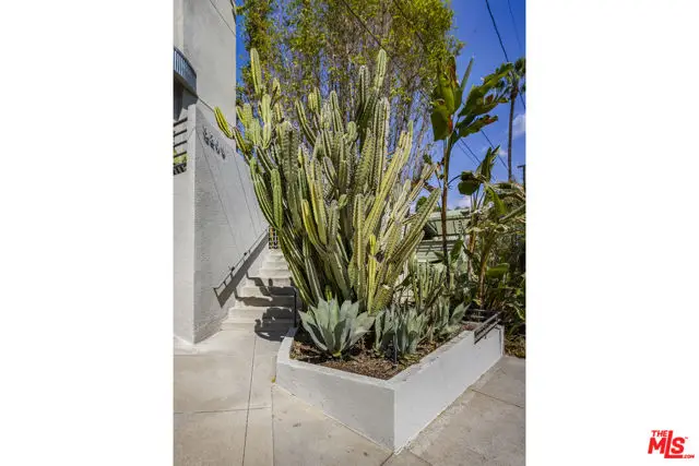 3209 Windsor Avenue, Los Angeles, CA 90039 - Image #2