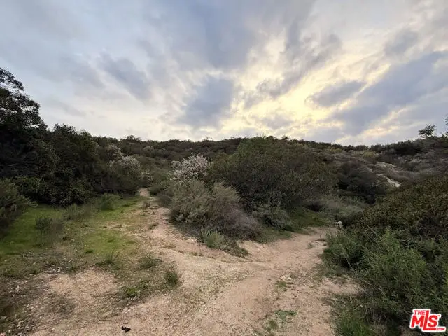 9741 N Estaban Way, Tujunga, CA 91042 - Image #3